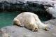 Top 10 Hangover Removers -Remember These Next Time